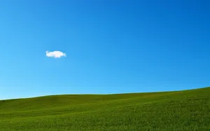 Iconic Windows 95 Bliss Hill Hd Wallpaper