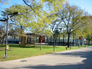 Illinois Institute Of Technology Park Wallpaper