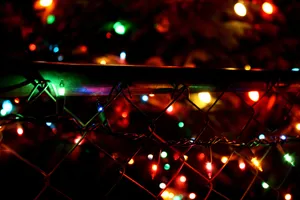 Illuminate Your Home This Holiday Season With Beautiful Christmas Lights! Wallpaper