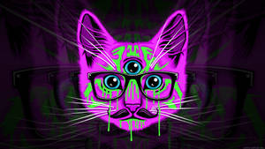 Illuminati Trippy Cat Wallpaper