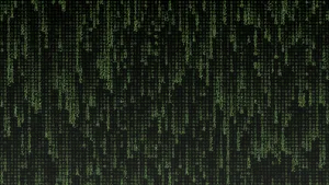 Image A Programmer Working With 1920x1080 Hd Coding Wallpaper