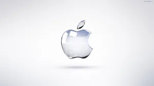 Image Apple Logo On White Background Wallpaper