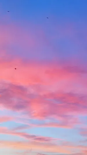 Image Hot Pink And Blue Sky With Clouds Wallpaper