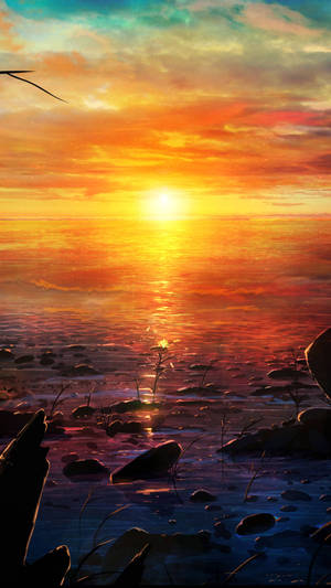 Image Of Sunset Iphone Wallpaper