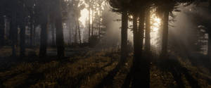 Immersive Wild West Adventure - Red Dead Redemption 2 In Stunning 4k Wallpaper