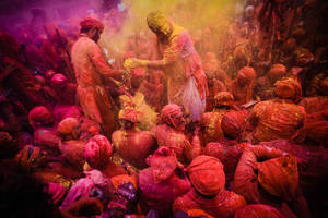 India Holi Celebration Wallpaper