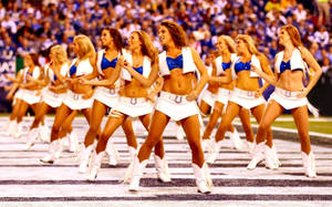 Indianapolis Colts Cheerleader Wallpaper