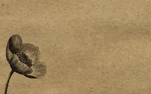 Indie Desktop With Floating Forest Wallpaper