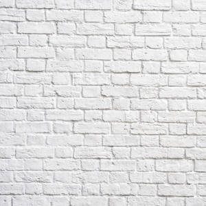 Industrial White Brick Flemish Bond Wallpaper