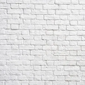 Industrial White Brick Flemish Bond Wallpaper