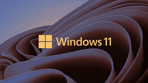 Innovative Windows 11 Logo Wallpaper