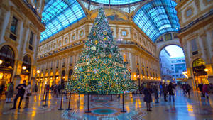 Inside Galleria Vittorio Emanuele Ii In Milan Wallpaper