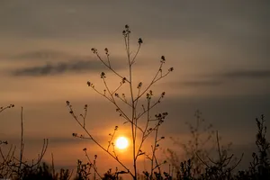 Inspiring Blurry Sun Wallpaper