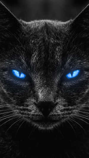 Intense Blue Cat Eyes Wallpaper