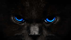 Intense_ Blue_ Eyes_ Black_ Panther Wallpaper