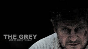 Intense Liam Neeson As John Ottway In The Grey Movie Wallpaper