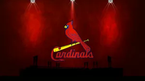Intense Spotlight On The St.louis Cardinals Mascot Wallpaper