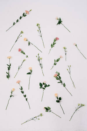 Ipad Pro Cute Thin Flowers Wallpaper