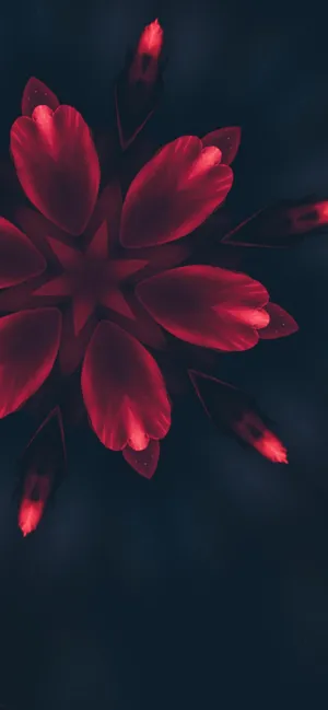Iphone 14 Pro Red Flower Petals Wallpaper