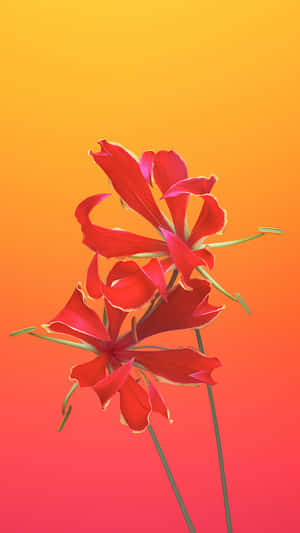 Iphone 6s Default Flame Lily Wallpaper