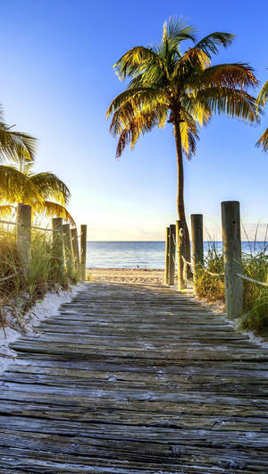 Iphone 7 Beach And Palm Trees Wallpaper