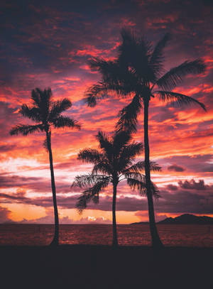 Iphone 7 Beach Pink Sky Wallpaper