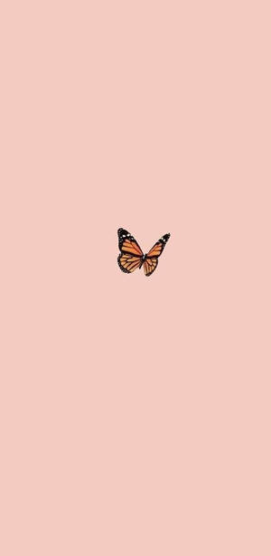 Iphone Aesthetic Butterfly Wallpaper