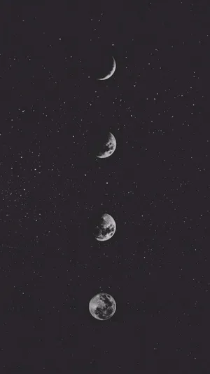 Iphone Home Screen Moon Phases Bw Wallpaper