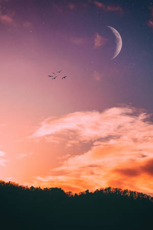 Iphone Home Screen Pink Sky Wallpaper