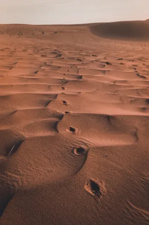 Iphone Lock Screen Sand Prints Wallpaper