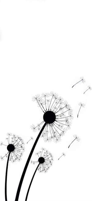 Iphone White Dandelions Wallpaper