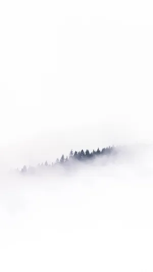 Iphone White Foggy Forest Wallpaper