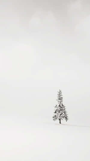 Iphone White Snowy Tree Wallpaper