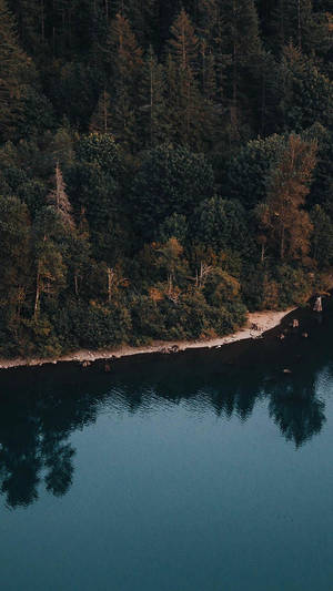 Iphone Xr Forest Lake Wallpaper