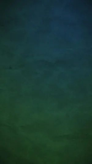 Iphone Xr In Chic Olive Green Wallpaper