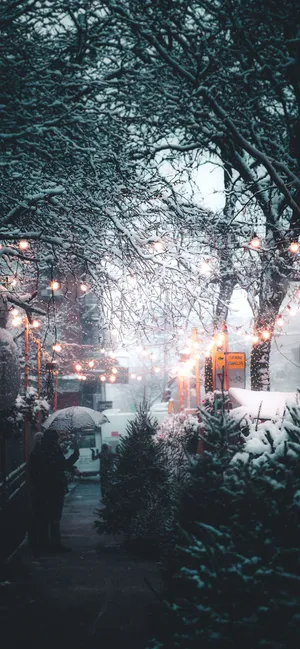 Iphones Xs Max Winter Sidewalk Trees Wallpaper