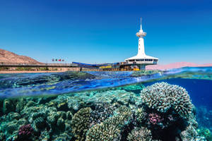 Israel Underwater Observatory Wallpaper