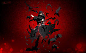 Itachi Cool Birds Wallpaper