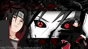 Itachi Uchiha Crow Hd Wallpaper