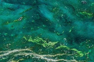 Jade Colored Water Textures Wallpaper