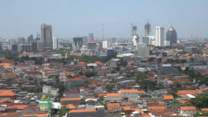 Jakarta Red Roof Wallpaper