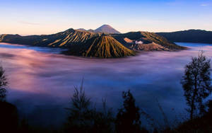 Jakarta Violet Clouds Wallpaper