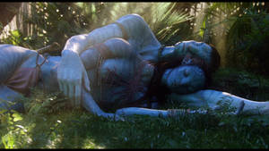 Jake Sully And Neytiri Sleeping In Hd Wallpaper