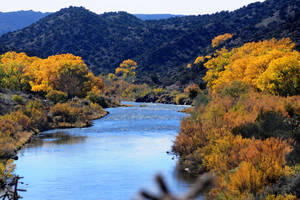 Jamaica Rio Grande River Wallpaper