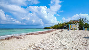 Jamaica White Beach Wallpaper