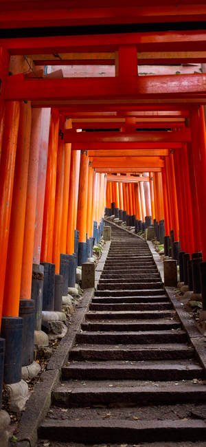 Japanese Aesthetic Iphone Torii Stairway Wallpaper