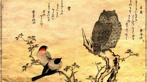 Japanese Art Of Owl And Birds Wallpaper