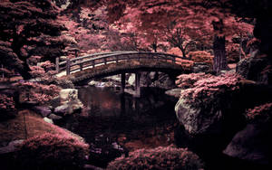 Japanese Cherry Blossom Bridge Wallpaper