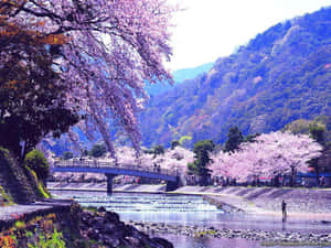Japanese Desktop With Traditional Patterns Wallpaper