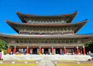 Jeju Island Yakcheonsa Temple Wallpaper